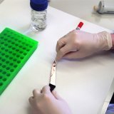 Il n'y a pas véritablement de crise de confiance dans la science au niveau mondial, selon cette étude (archives). KEYSTONE/GAETAN BALLY